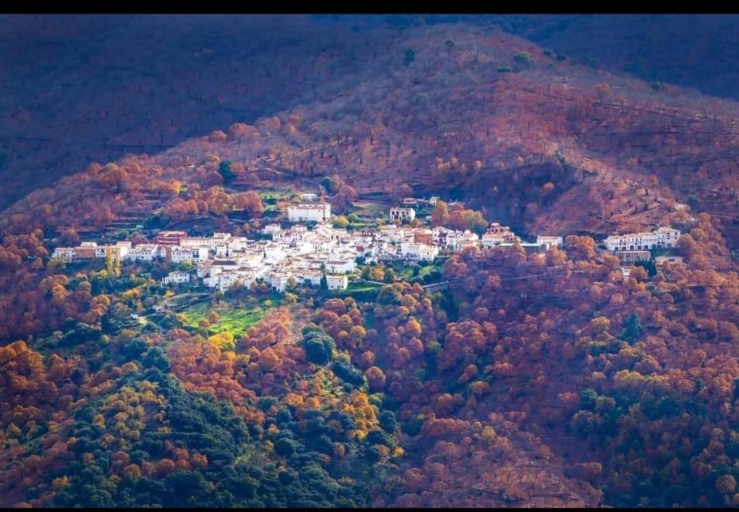 Casa Rural Los Jilgueros Pujerra Eksteriør bilde